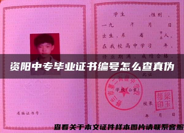 资阳中专毕业证书编号怎么查真伪