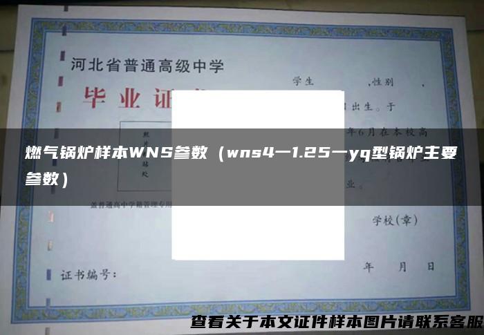 燃气锅炉样本WNS参数（wns4一1.25一yq型锅炉主要参数）