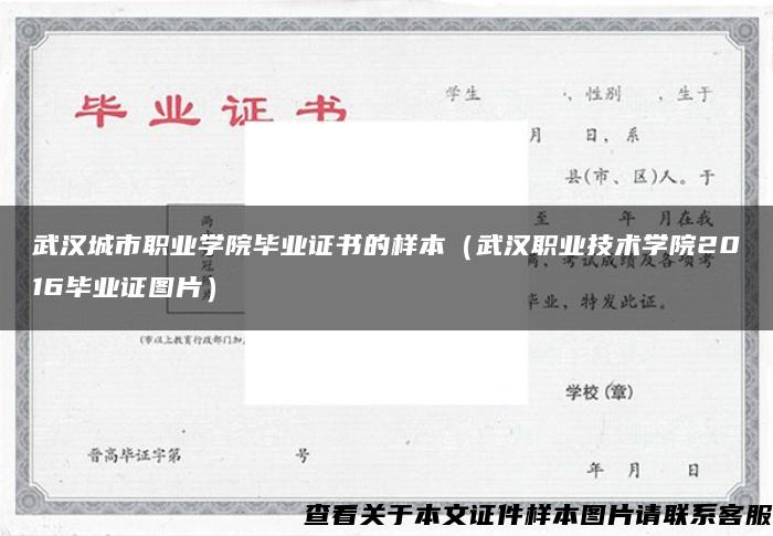 武汉城市职业学院毕业证书的样本（武汉职业技术学院2016毕业证图片）