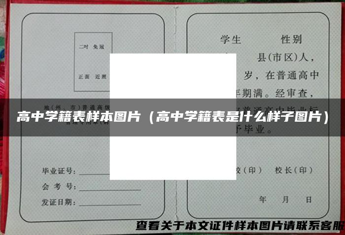 高中学籍表样本图片（高中学籍表是什么样子图片）