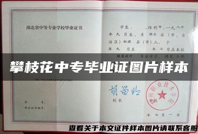 攀枝花中专毕业证图片样本