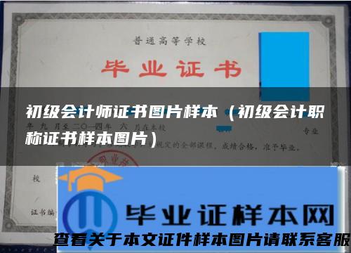初级会计师证书图片样本（初级会计职称证书样本图片）