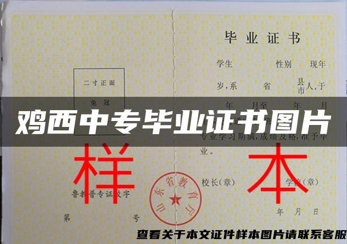 鸡西中专毕业证书图片 鸡西中专毕业证书图片
