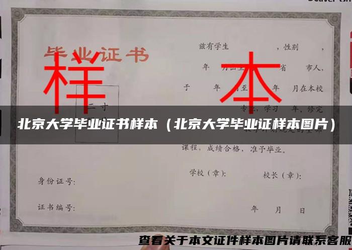 北京大学毕业证书样本（北京大学毕业证样本图片）