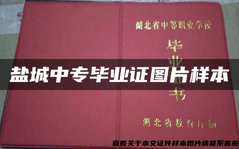 盐城中专毕业证图片样本