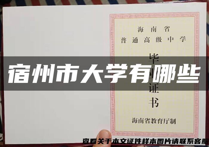 宿州市大学有哪些