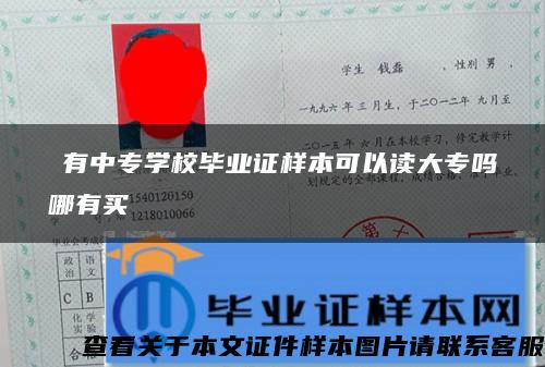 沒有中专学校毕业证样本可以读大专吗哪有买 沒有中专学校毕业证样本可以读大专吗哪有买