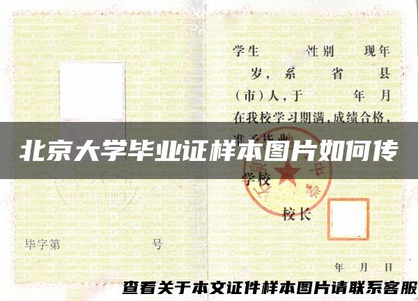 北京大学毕业证样本图片如何传