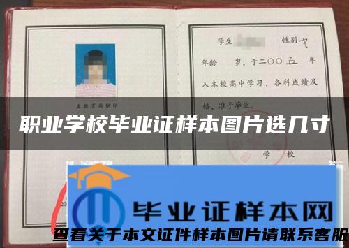 职业学校毕业证样本图片选几寸 职业学校毕业证样本图片选几寸
