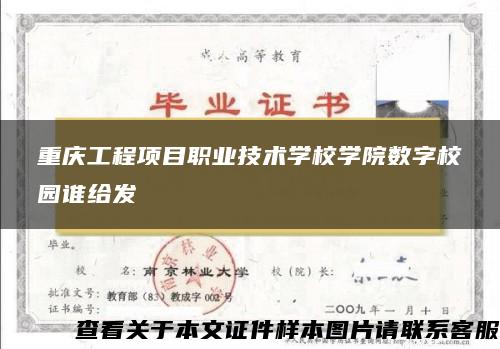 重庆工程项目职业技术学校学院数字校园谁给发