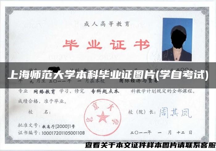 上海师范大学本科毕业证图片(学自考试)