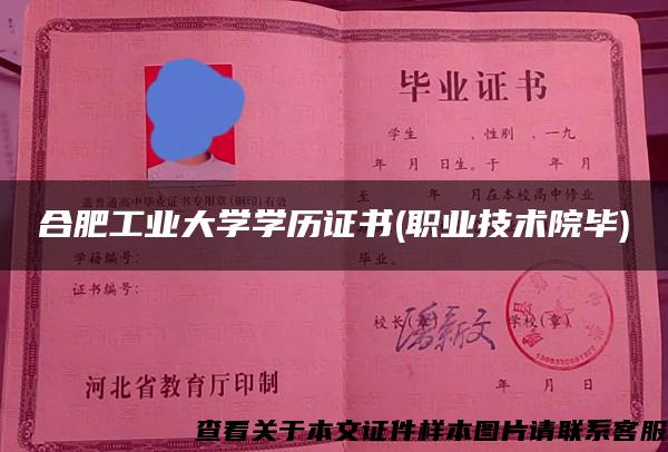 合肥工业大学学历证书(职业技术院毕)