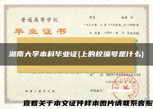 湖南大学本科毕业证(上的校编号是什么)