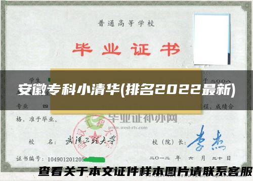 安徽专科小清华(排名2022最新) 安徽专科小清华(排名2022最新)