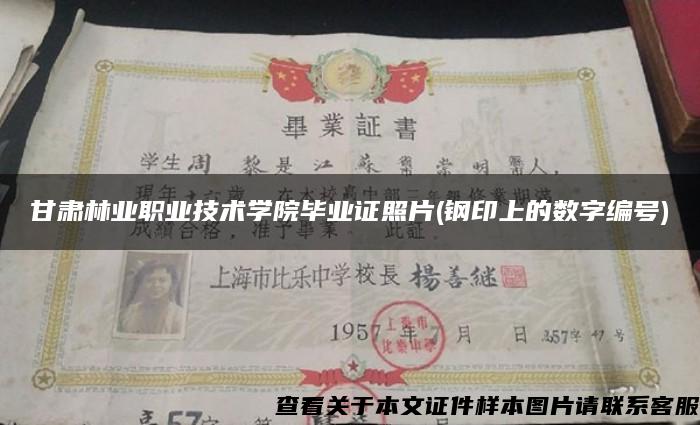 甘肃林业职业技术学院毕业证照片(钢印上的数字编号)
