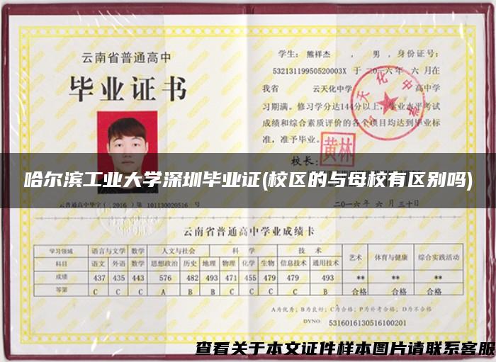 哈尔滨工业大学深圳毕业证(校区的与母校有区别吗)