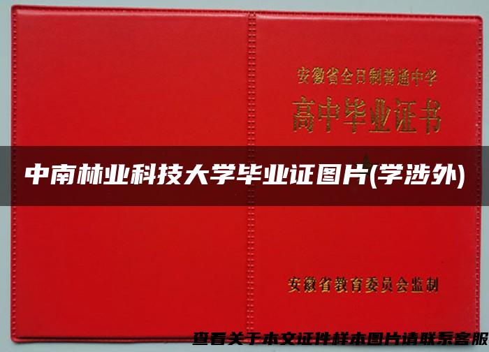 中南林业科技大学毕业证图片(学涉外)