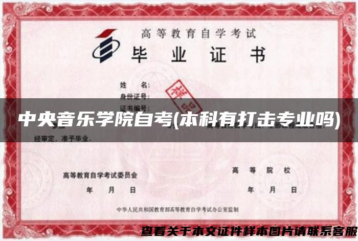 中央音乐学院自考(本科有打击专业吗)