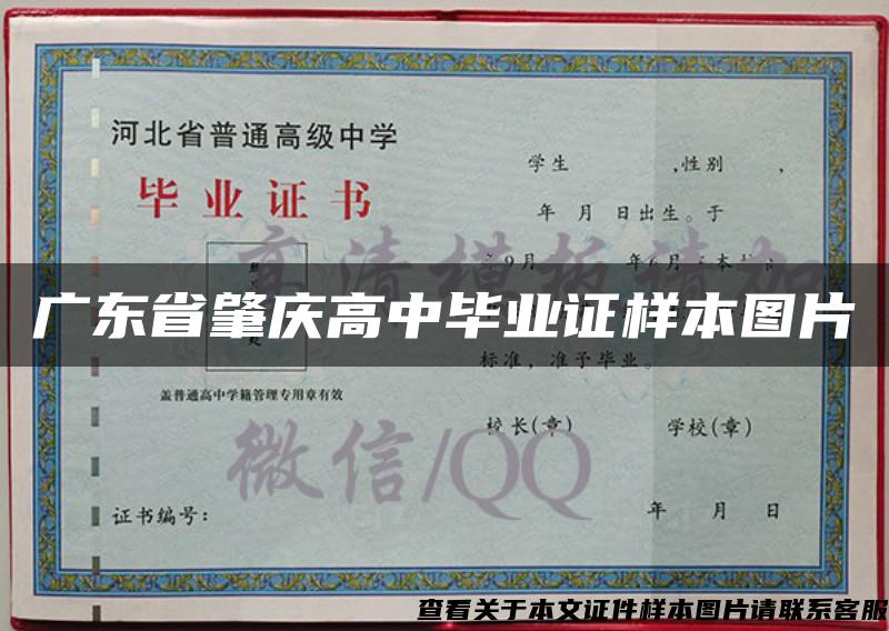 广东省肇庆高中毕业证样本图片