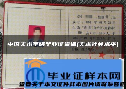 中国美术学院毕业证查询(美术社会水平)