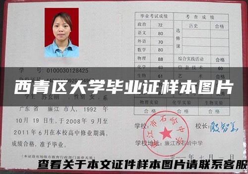西青区大学毕业证样本图片 西青区大学毕业证样本图片