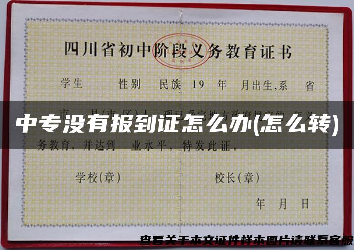 中专没有报到证怎么办(怎么转)