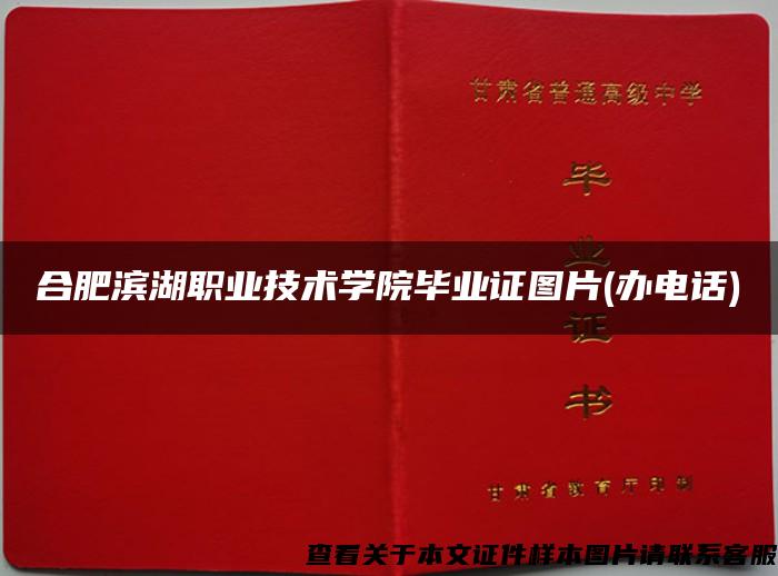 合肥滨湖职业技术学院毕业证图片(办电话)