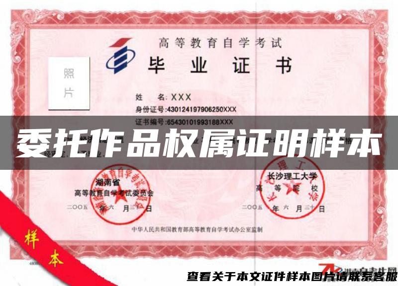 委托作品权属证明样本
