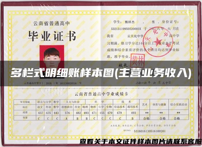 多栏式明细账样本图(主营业务收入)