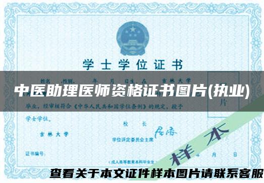 中医助理医师资格证书图片(执业)