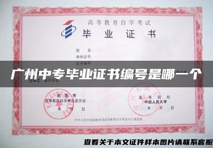 广州中专毕业证书编号是哪一个