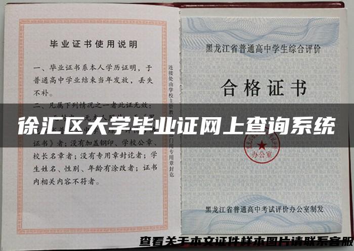 徐汇区大学毕业证网上查询系统