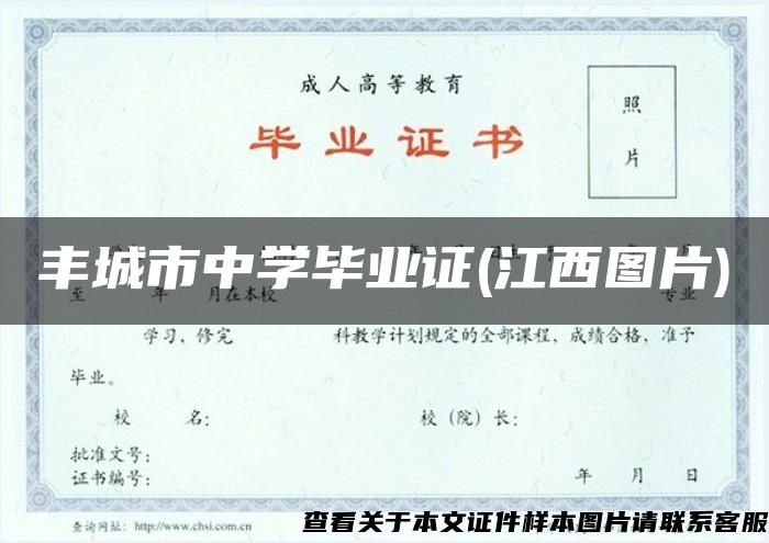 丰城市中学毕业证(江西图片)