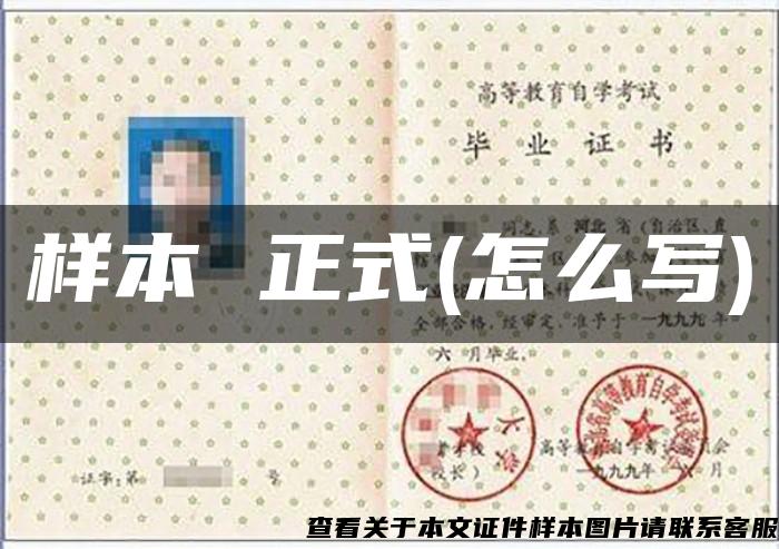 样本 正式(怎么写)