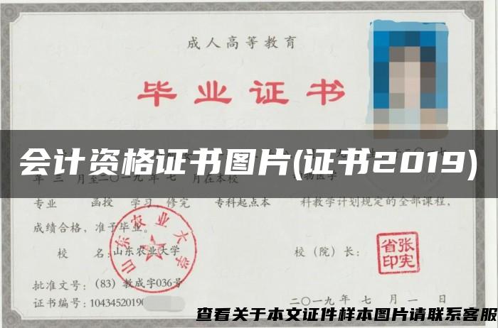 会计资格证书图片(证书2019) 会计资格证书图片(证书2019)