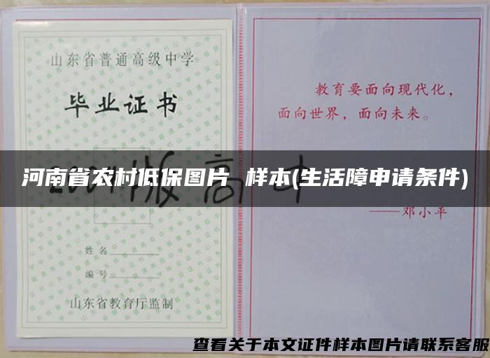 河南省农村低保图片 样本(生活障申请条件)