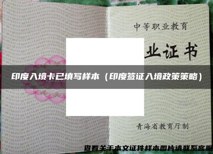 印度入境卡已填写样本（印度签证入境政策策略）