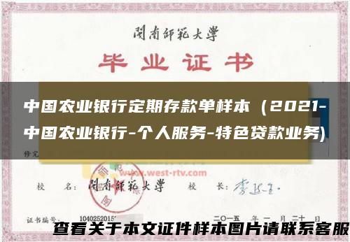 中国农业银行定期存款单样本（2021-中国农业银行-个人服务-特色贷款业务)