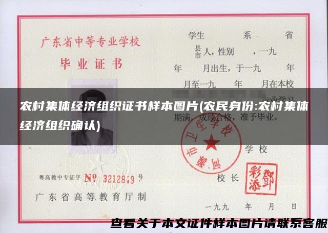 农村集体经济组织证书样本图片(农民身份:农村集体经济组织确认)