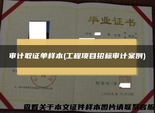 审计取证单样本(工程项目招标审计案例)