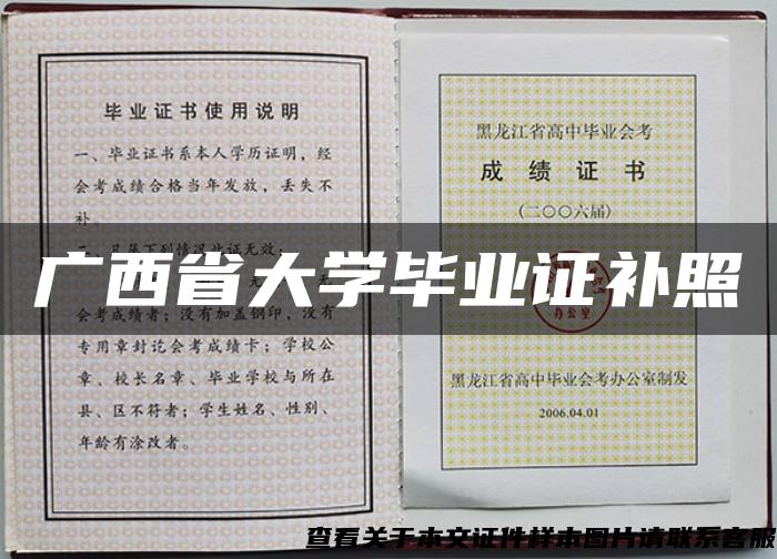 广西省大学毕业证补照