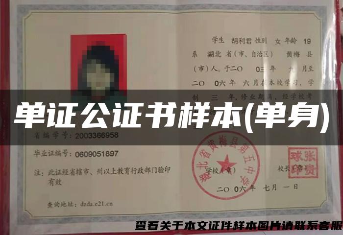 单证公证书样本(单身) 单证公证书样本(单身)