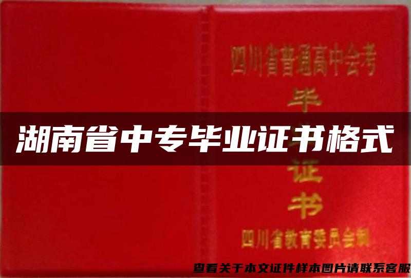 湖南省中专毕业证书格式
