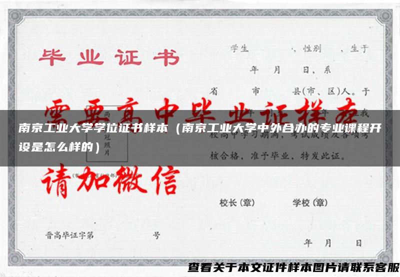 南京工业大学学位证书样本（南京工业大学中外合办的专业课程开设是怎么样的）