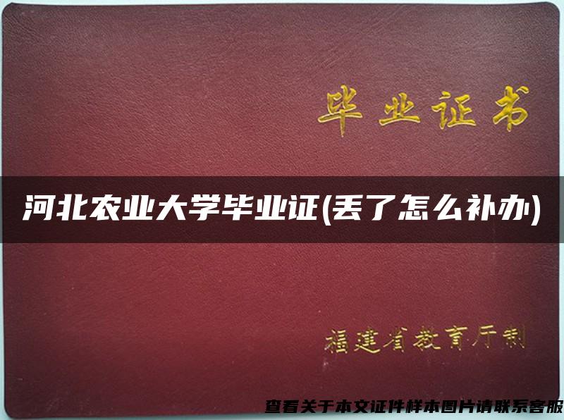 河北农业大学毕业证(丢了怎么补办)
