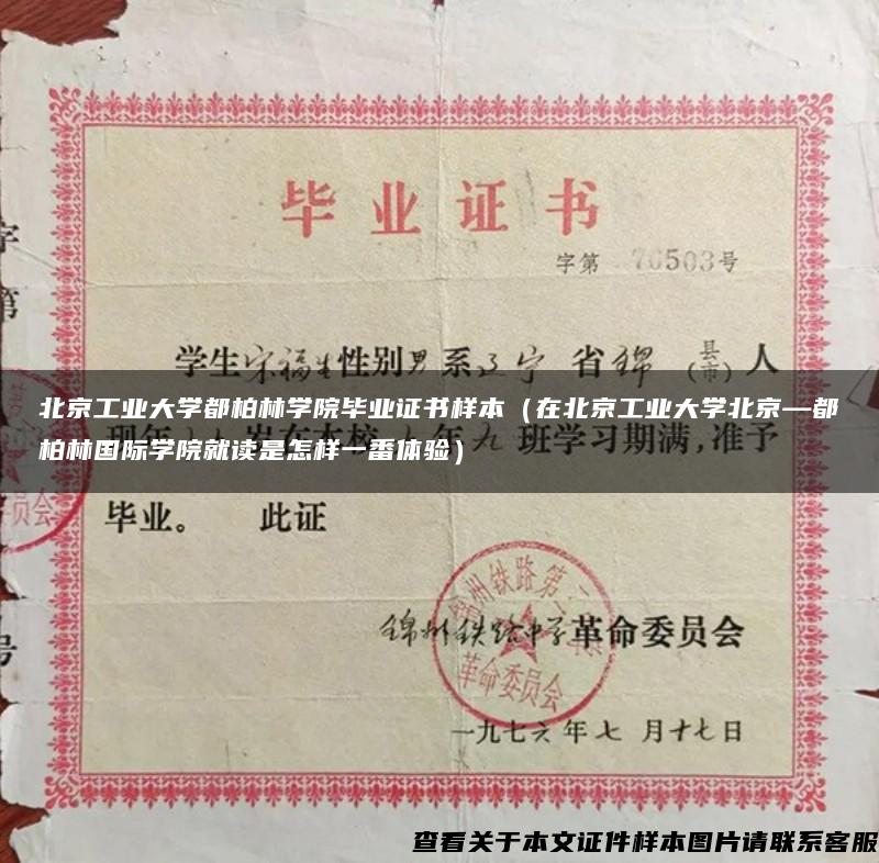 北京工业大学都柏林学院毕业证书样本（在北京工业大学北京—都柏林国际学院就读是怎样一番体验）