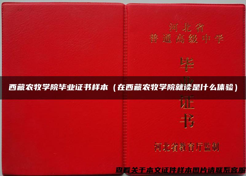 西藏农牧学院毕业证书样本（在西藏农牧学院就读是什么体验）