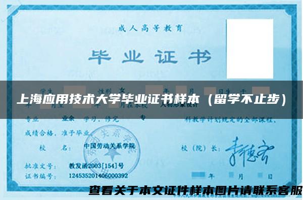 上海应用技术大学毕业证书样本（留学不止步）