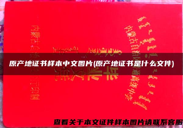 原产地证书样本中文图片(原产地证书是什么文件)