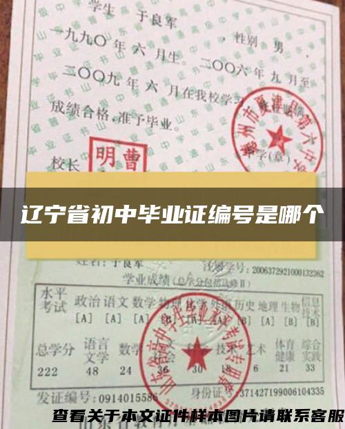 辽宁省初中毕业证编号是哪个